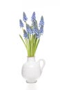 Small Grape Hyacinths