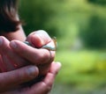 A small grass-snake in the hands Royalty Free Stock Photo