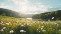 Serene Meadow With Blooming White Dandelion On Green Grassy Field