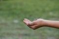 Small grasshopper close-up on the hand of the girl traveler. Wildlife exploration by a young naturalist. Royalty Free Stock Photo