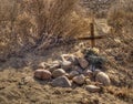 Small grave in the desert Royalty Free Stock Photo