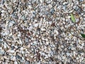 Small gravel and Rock Texture with leaf Royalty Free Stock Photo