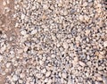 Small gravel stones as a background Royalty Free Stock Photo