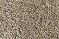 Small gravel stones  background Royalty Free Stock Photo