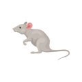 Small gray mouse standing on hind legs, side view. Domestic mice. Cute rodent with pink ears and long tail. Flat vector