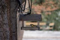 Small great tit eating from a wooden bird feeder