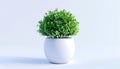 Small Green Artificial Topiary Plant in White Ceramic Pot for Indoor Home or Office D cor Royalty Free Stock Photo