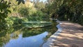 A small green boat in a lake of a garden