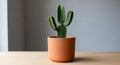 A small green cactus with multiple arms sits in a simple round terracotta pot, placed on a light Royalty Free Stock Photo