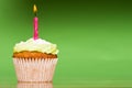 Small green cake with a single candle Royalty Free Stock Photo