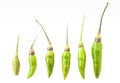 Small Green Chilis isolated on white background Royalty Free Stock Photo