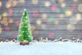 Small green christmas tree with garland and holiday illumination Royalty Free Stock Photo