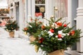 Small green Christmas trees in pots with balls, toys and snow on the new year square near houses on a blurred background