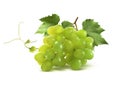 Small green grapes bunch and leaf isolated on white Royalty Free Stock Photo