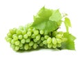 Small green grapes bunch and leaf Royalty Free Stock Photo