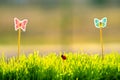 Small green grass with special cute toys small butterflies