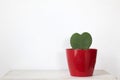 Heart shaped Cactus in red pot on