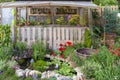 Small green house in backyard flower garden