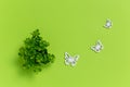Small green house plant and three white wooden butterflies on green background. Cute home decoration, ecology concept Royalty Free Stock Photo