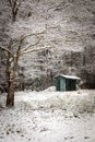Small green house surrounded by freshly fallen snow Royalty Free Stock Photo