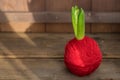 Small green hyacinth leaves in red yarn ball on old wooden background