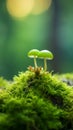 Small Green Mushroom on Mossy Ground