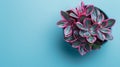 A small green and pink flower in a blue bowl on top of the table, AI