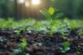 A Young Plant Sprouts From the Ground. Generative AI Royalty Free Stock Photo