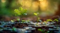 A small green plant growing out of a hole in the ground, AI Royalty Free Stock Photo