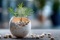 Small green plant growing in cracked eggshell Royalty Free Stock Photo