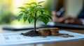 A small green plant grows from a mound of soil next to stacks of coins, symbolizing growth Royalty Free Stock Photo