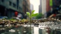 A small green plant sprouting from the ground on the asphalt in the city center, symbolizing ecology and nature conservation Royalty Free Stock Photo