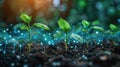 Small Green Plant Sprouting Out of Ground Royalty Free Stock Photo