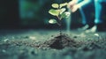 A small green plant sprouting from the soil, with a hand in the background, suggesting nurture and potential for life