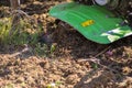 Small green plowing machine in hands of a farmer, tillage equipment, agricultural machine, agriculture, making arable in soil