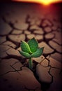 A small green sprout of wheat breaks through the dry earth towards the sun. AI generated Royalty Free Stock Photo