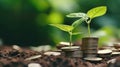 Small green sprouts growing on coin stack over green blurred background. Business finance strategy, money earning and Royalty Free Stock Photo