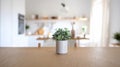 Small Plant Sits on Table in Blurry, Bright Kitchen Setting Royalty Free Stock Photo