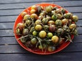 small green tomatoes in a red plate Royalty Free Stock Photo