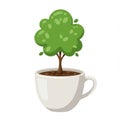 Small Green Tree Growing in White Mug Royalty Free Stock Photo