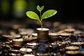 A small green tree grows from coins. The concept of saving accumulation and multiplication of savings. Royalty Free Stock Photo