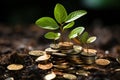 A small green tree grows from coins. The concept of saving accumulation and multiplication of savings. Royalty Free Stock Photo