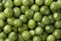 Small green unripe cherry tiger tomatoes full frame close up Royalty Free Stock Photo