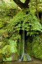 Small green waterfall