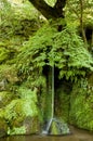 Small green waterfall Royalty Free Stock Photo