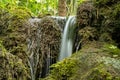 Small green waterfall in nature at the source of the emergence Royalty Free Stock Photo