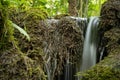 Small green waterfall in nature at the source of the emergence Royalty Free Stock Photo