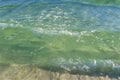 Small green waves near the shore of the ocean Royalty Free Stock Photo