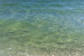 Small green waves near the shore of the ocean Royalty Free Stock Photo