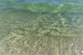 Small green waves near the shore of the ocean Royalty Free Stock Photo